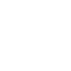 CN-VN logistics icon